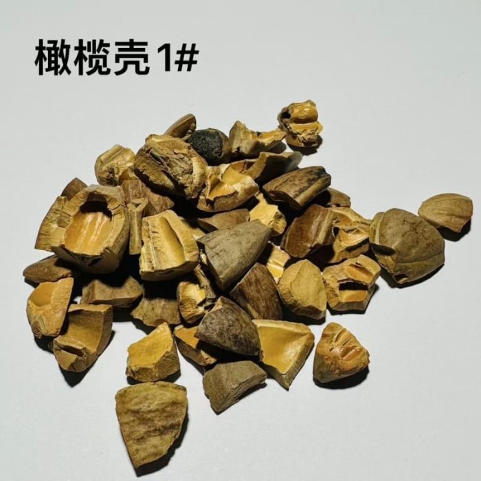 1# Olive shell